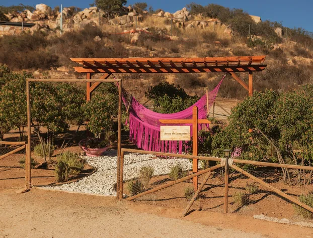 Brisa Del Valle Hotel Boutique hotel detail image 3