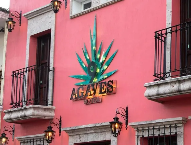 Nueve Agaves Hotel hotel detail image 1