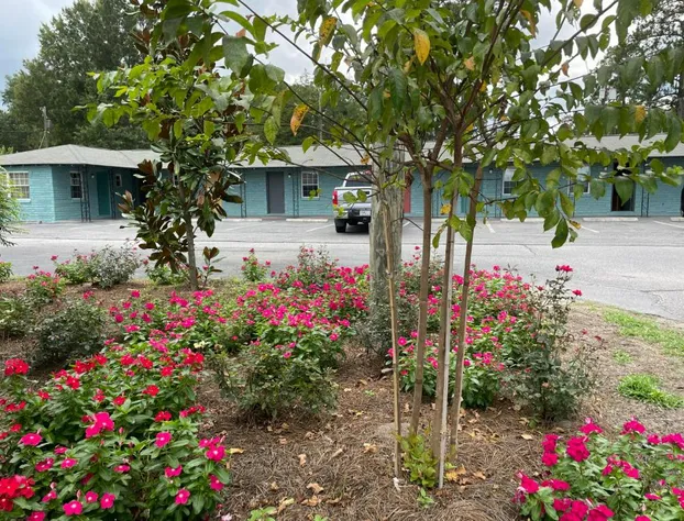 Carole Motel hotel detail image 2