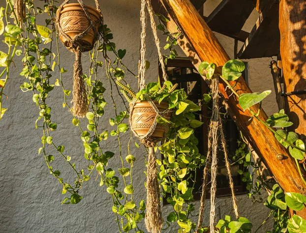 Arte Sano Hotel Only Adults - Near Beach hotel detail image 2