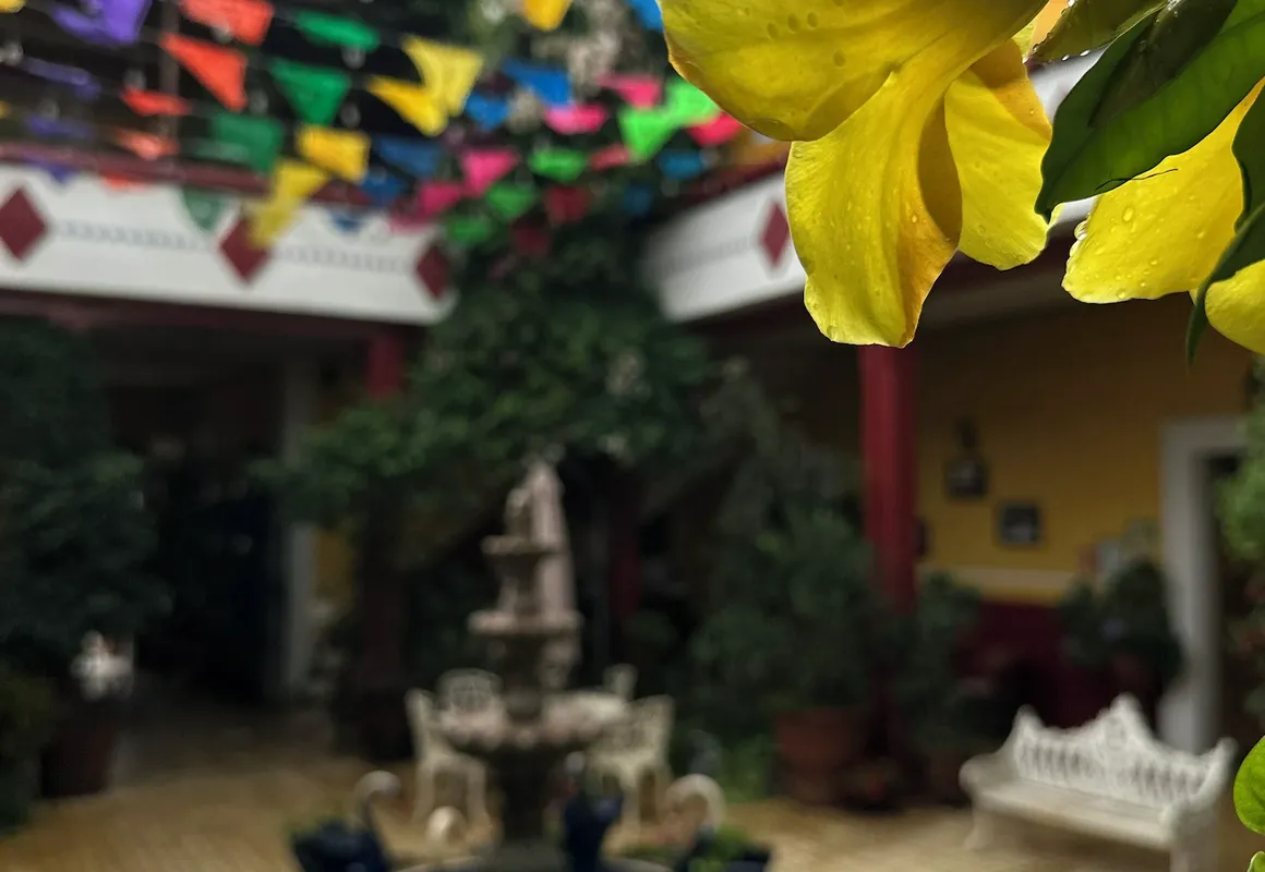 Copa de Oro Hotel Boutique hotel hero