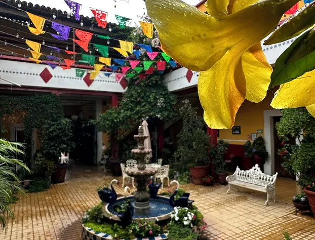 Copa de Oro Hotel Boutique hotel detail image 1