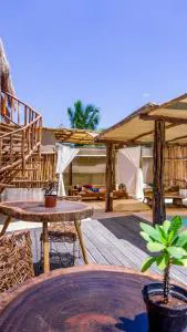 Jungla y Estrellas hotel detail image 1