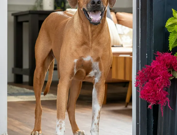 the Alander hotel detail image 2