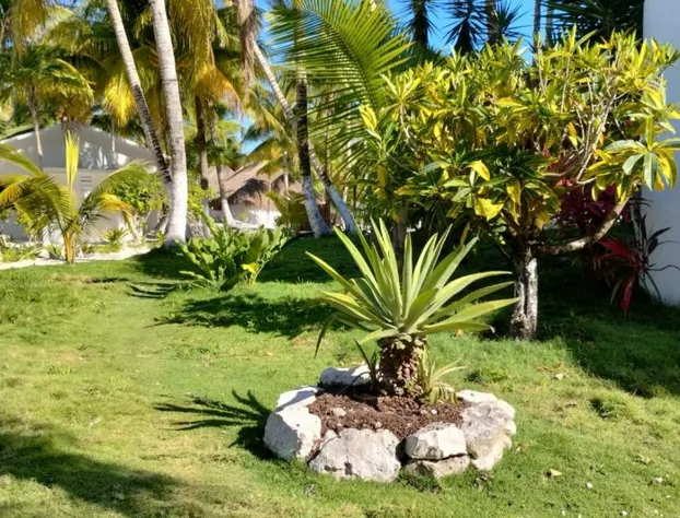 Alito Tulum Hotel hotel detail image 2