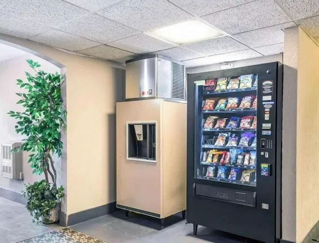 Lotus By Hotel Inn hotel detail image 4