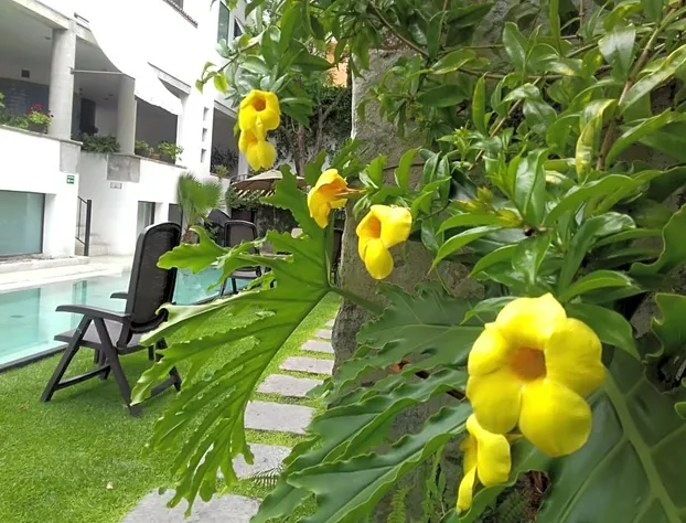 Hotel & Spa Doña Urraca San Miguel De Allende hotel detail image 1