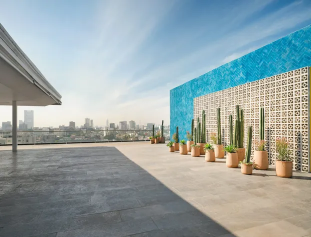 voco Guadalajara Neruda by IHG hotel detail image 1