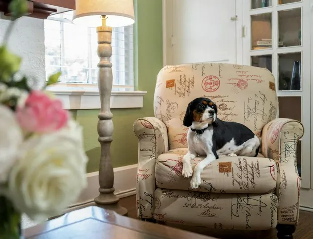 Magnolia Manor and Chapel hotel detail image 4