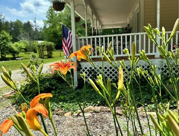 Misty Mountain Inn hotel detail image 3