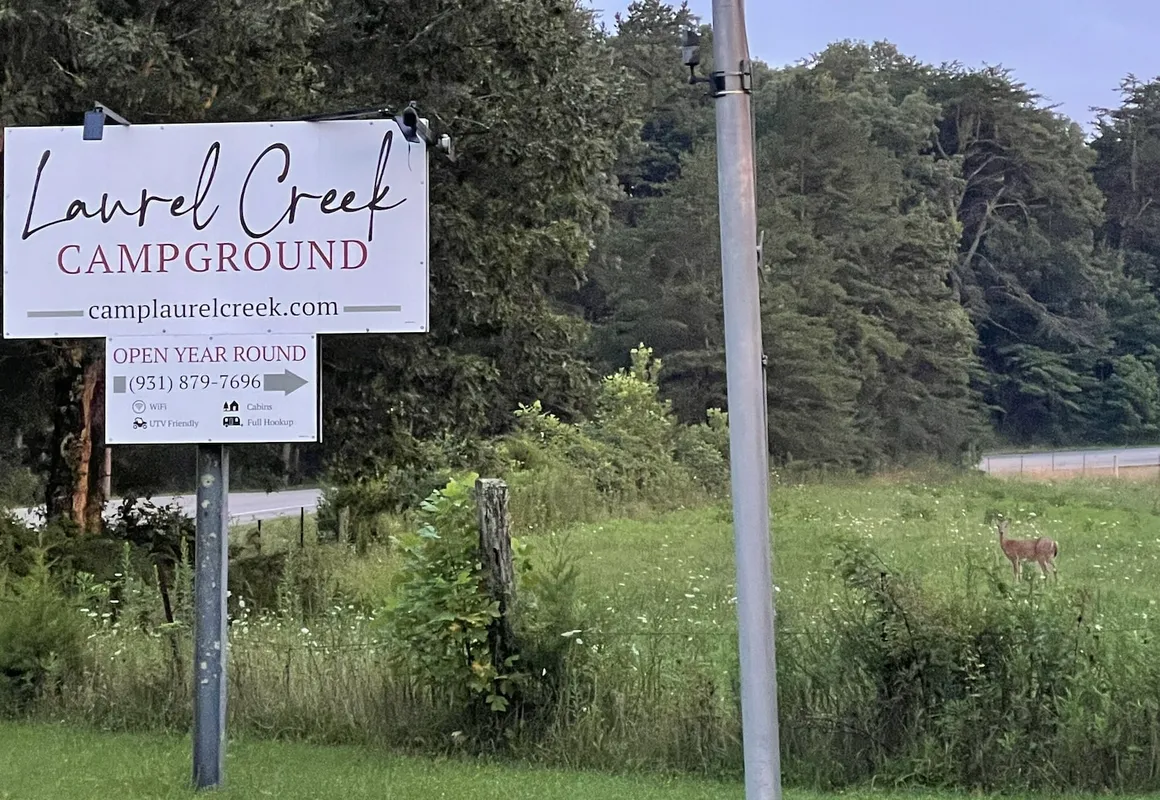 Laurel Creek Campground hotel hero