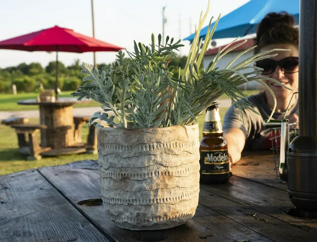 American Inn hotel detail image 4