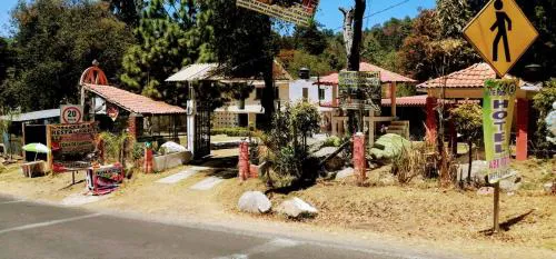 Hotel The Palms hotel hero