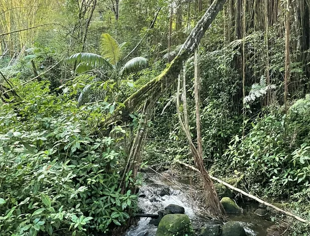 Loft at Rickys hotel detail image 2