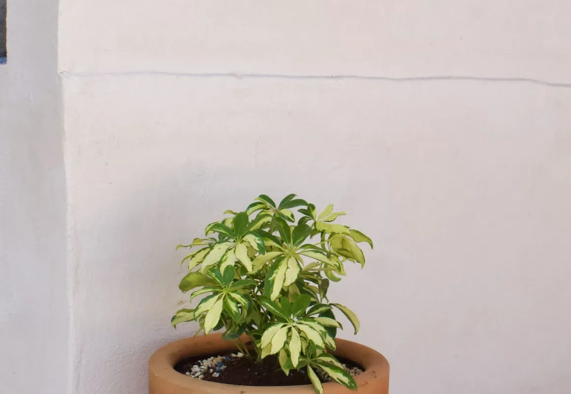 Casa del Artista B&B hotel hero