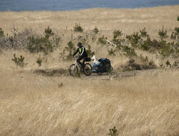 Chautauqua Resort & Conference Center hotel detail image 1