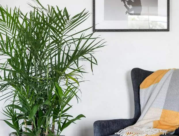 Elwood Hotel & Suites hotel detail image 3