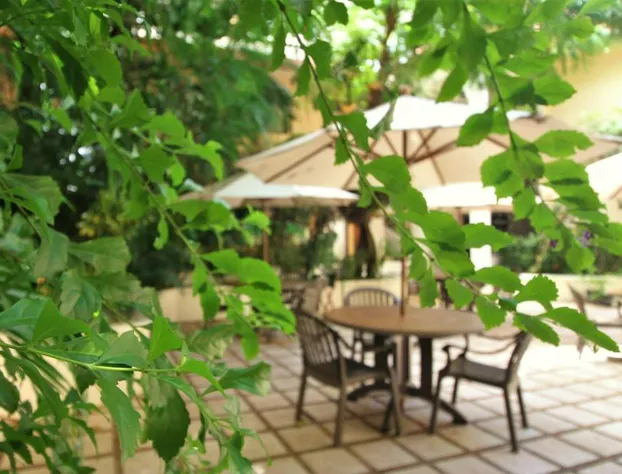 Maya Tulipanes Express hotel detail image 1