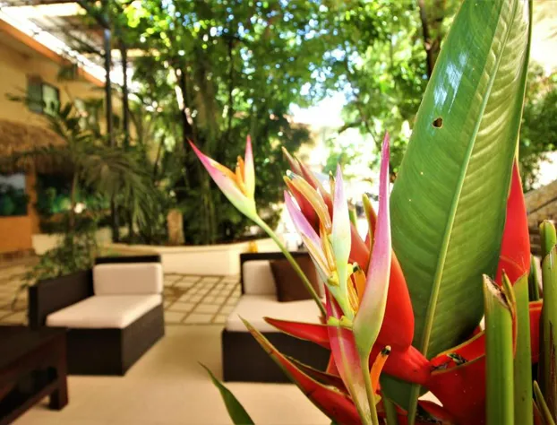 Maya Tulipanes Express hotel detail image 2