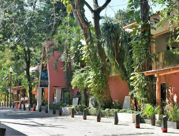 Maya Tulipanes Express hotel detail image 3