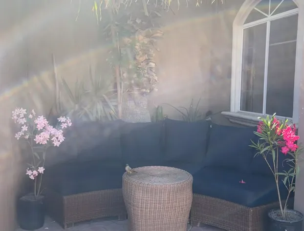 San Felipe Place To Stay B&B hotel detail image 4