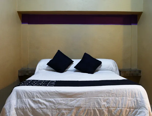 Hotel Platino hotel detail image 4