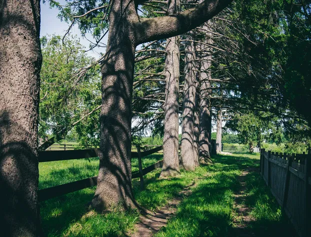 Servus Stratford hotel detail image 1