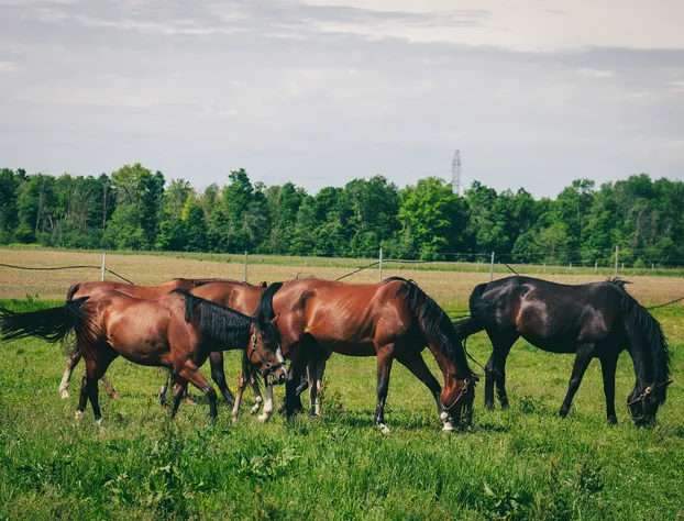 Servus Stratford hotel detail image 2