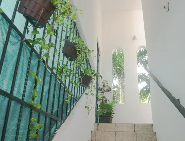 Navieros Rooms Bacalar hotel detail image 2