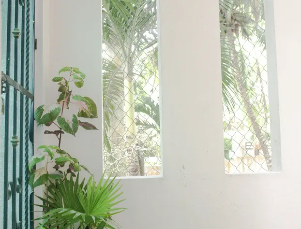 Navieros Rooms Bacalar hotel detail image 3