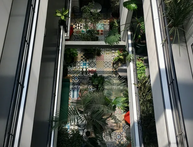 Hotel Itto Condesa hotel detail image 1