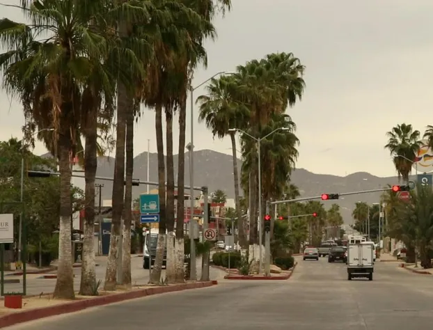 Medano junior suite hotel detail image 4