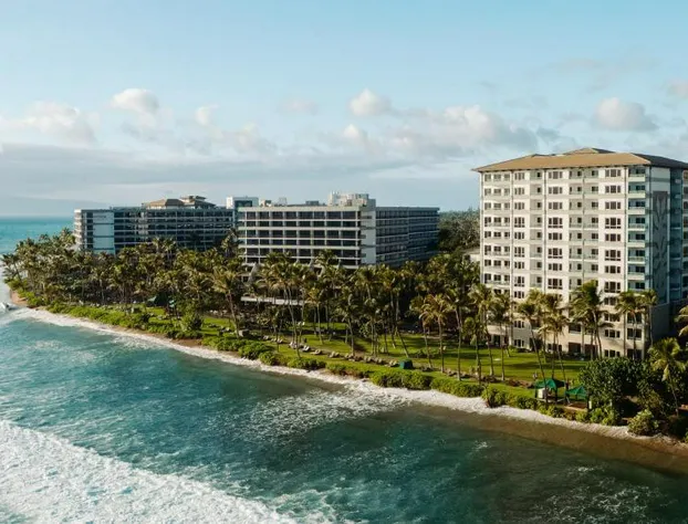 Hyatt Ka'anapali Beach hotel detail image 3
