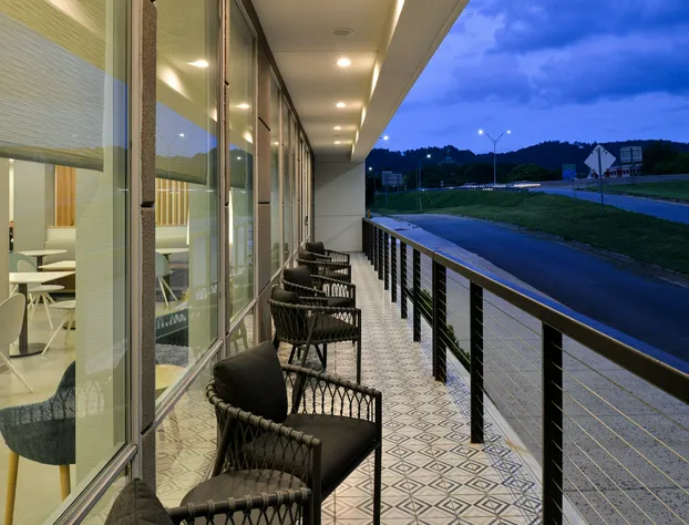 TownePlace Suites by Marriott Asheville Downtown hotel detail image 2