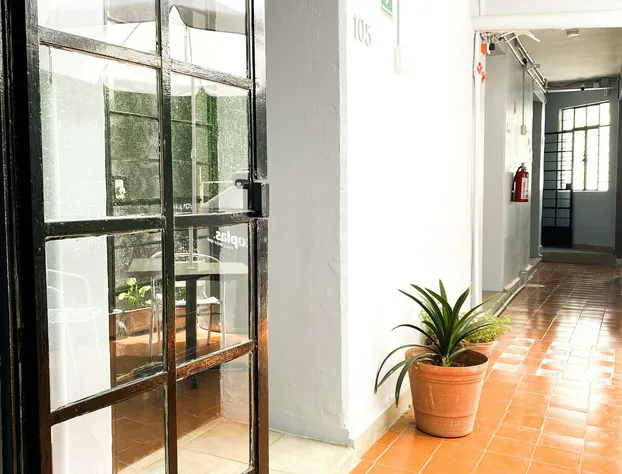 Hotel Amigo Suites hotel detail image 1