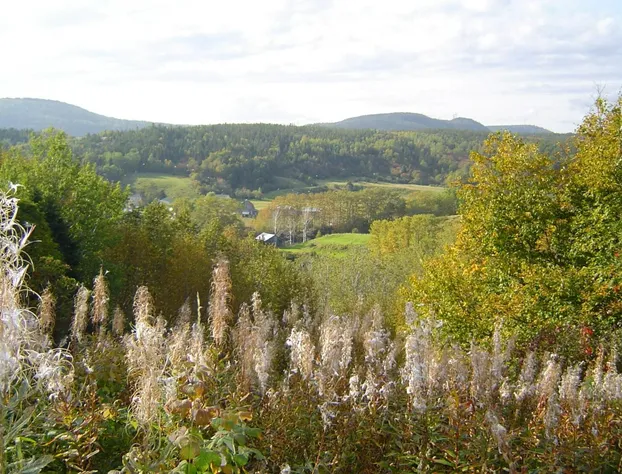 Gîte La Bergeronnette hotel detail image 2