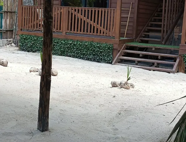 El Regalo El Cuyo hotel detail image 3