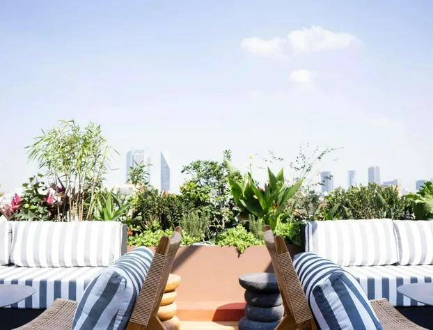 Mondrian Mexico City Condesa hotel detail image 2