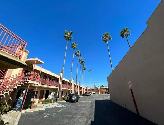 Palm Tree Inn hotel detail image 1