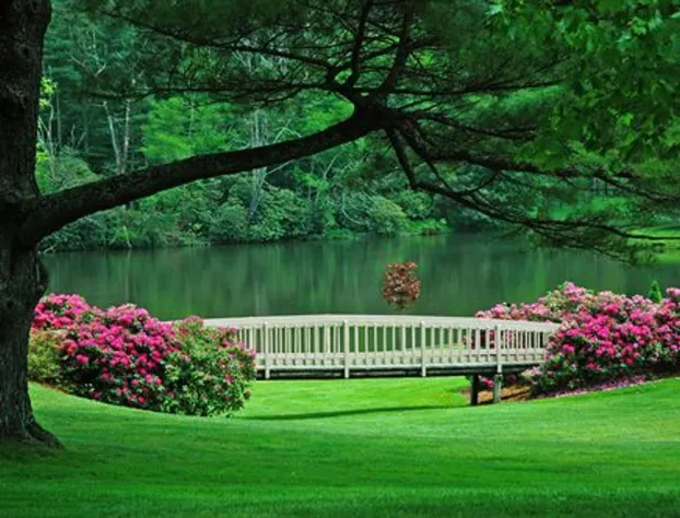 Bob Timberlake Inn at Chetola Resort hotel detail image 3