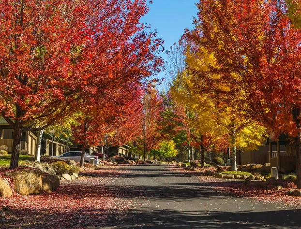 Running Y Ranch Vacation Home Rentals hotel detail image 3