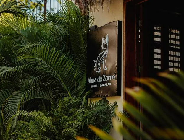 Alma de Zorro hotel detail image 1