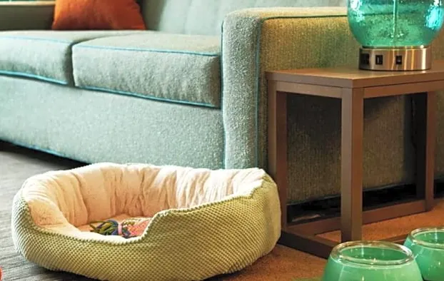 Home2 Suites by Hilton Covington hotel detail image 2