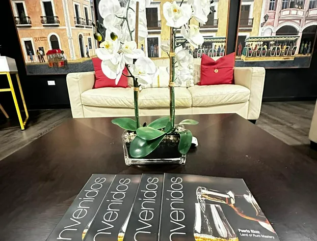 S.J. Suites Hotel hotel detail image 4