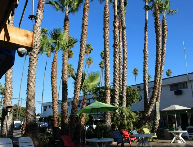 Tradewinds Hotel LAX Airport hotel detail image 1