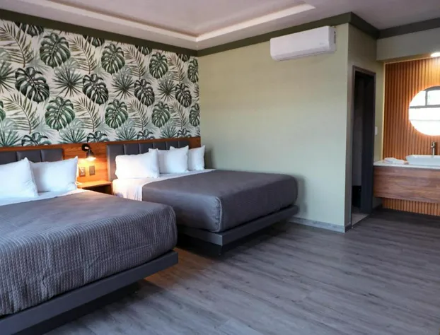 Hotel La Quinta Bonita hotel detail image 3