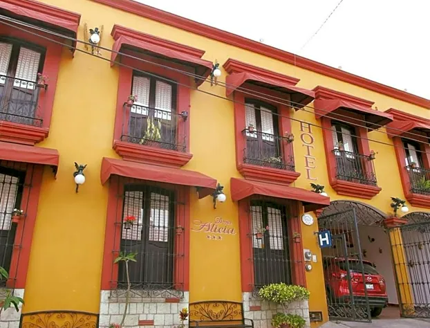 Hotel Doña Alicia hotel detail image 3