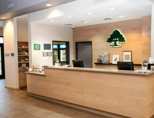 Hampton Inn & Suites Phoenix Airport South hotel detail image 4