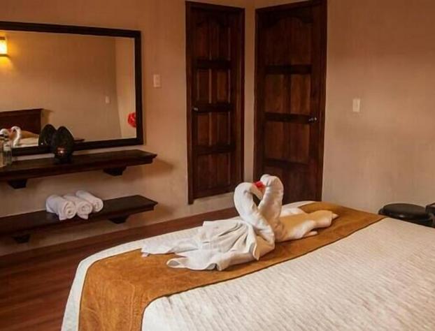 Arte Sano Hotel San Cristobal hotel detail image 3