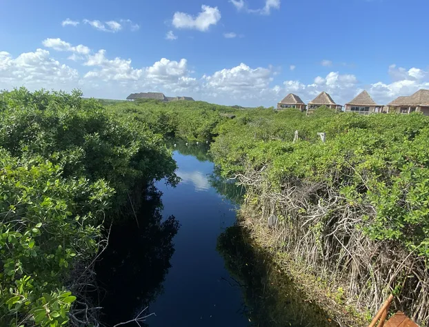 Cabañas Tulum - Aldea Mangle & Cenote hotel detail image 4